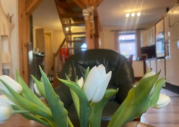 Tannenhaus Hohen Mistorf * Alt Suhrkow